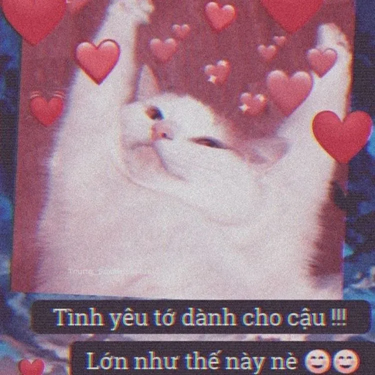 meme tỏ tình 14