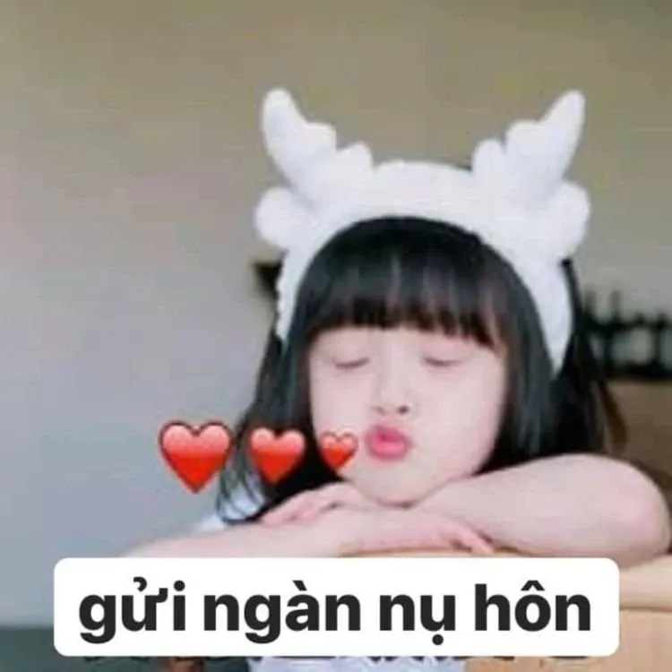 meme tỏ tình 24