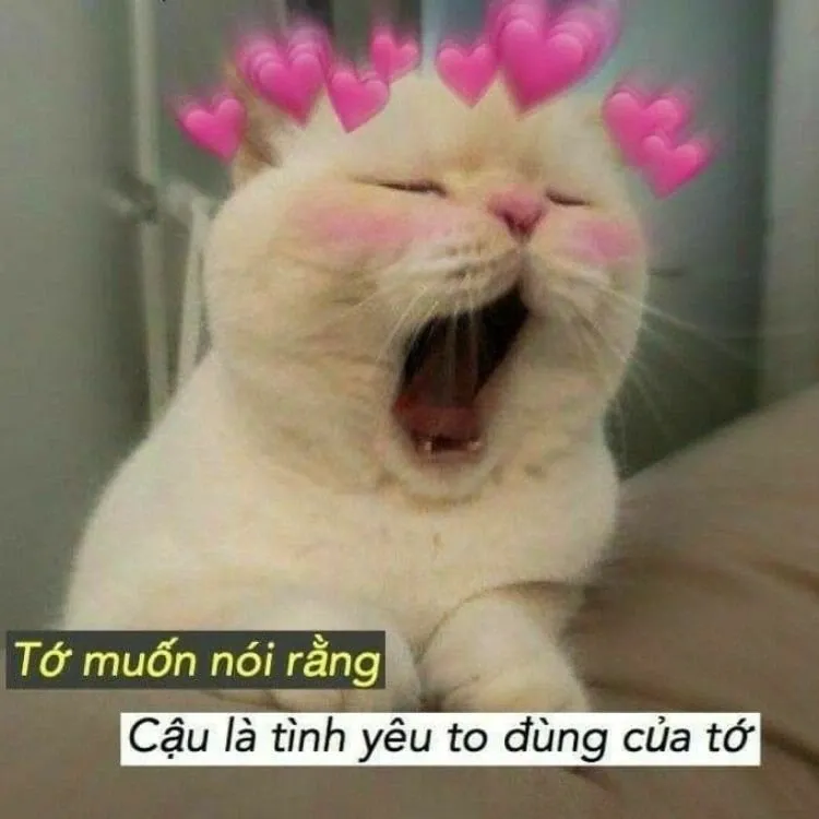 meme tỏ tình 26