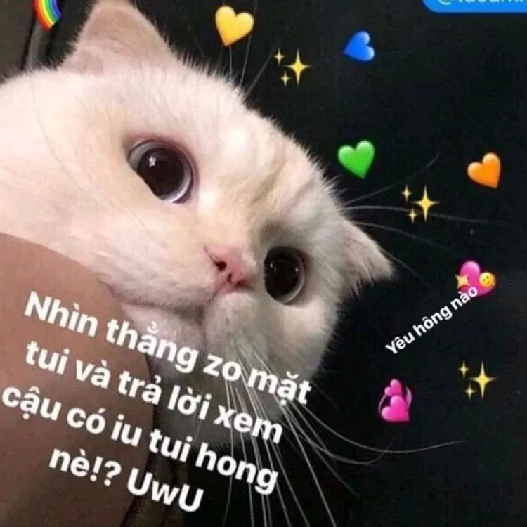 meme tỏ tình 27