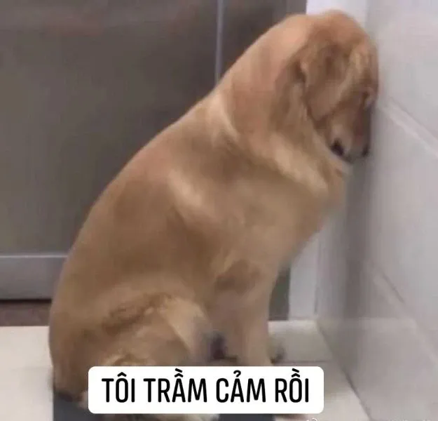 meme trầm cảm 4