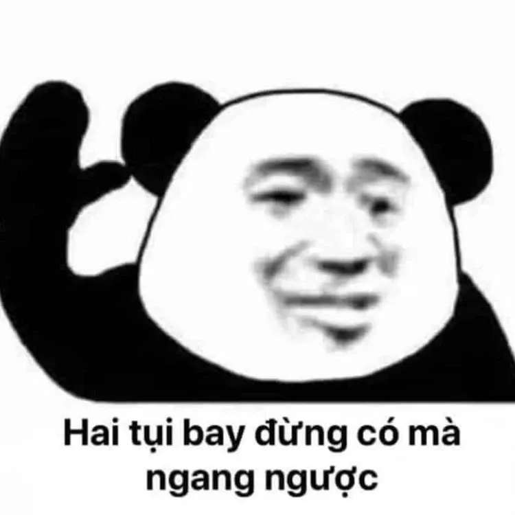 meme trung quốc 28