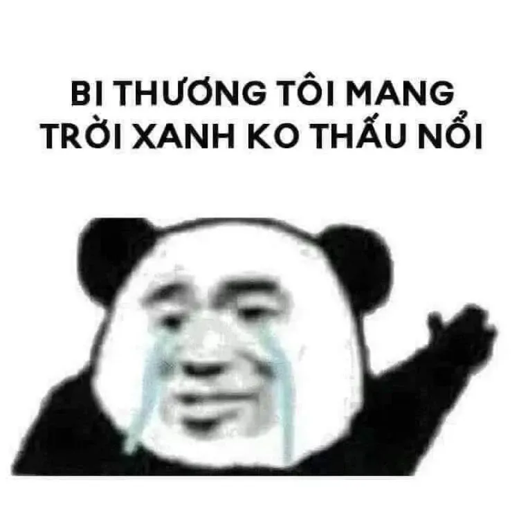 meme trung quốc 33