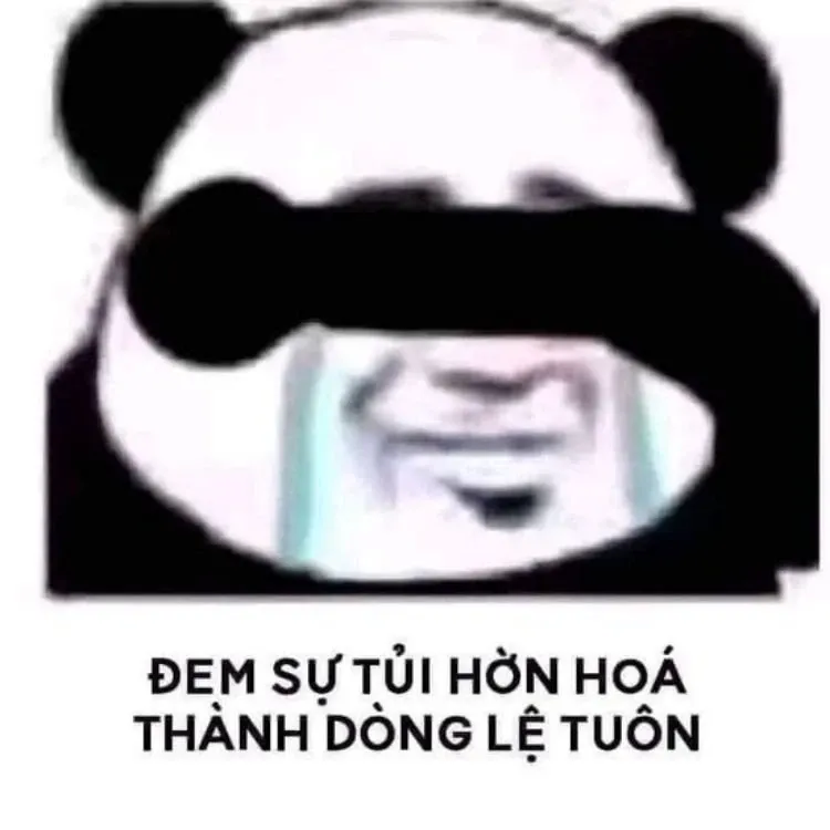 meme trung quốc 40