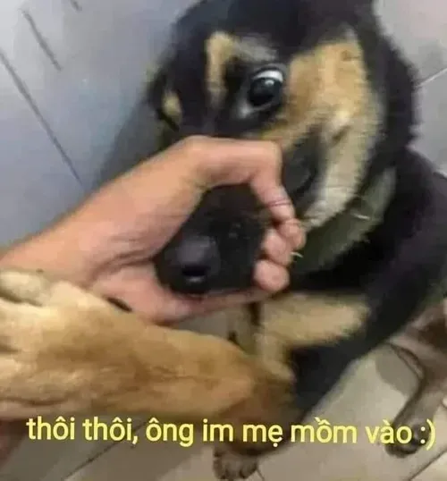 meme từ chối 17