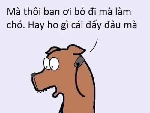 meme từ chối 40