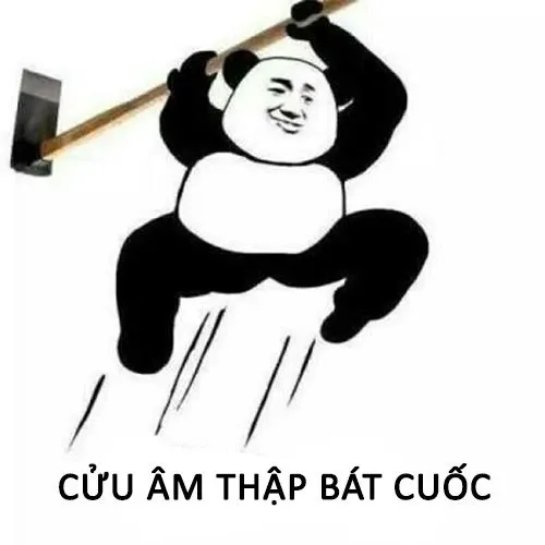 meme từ chối 52