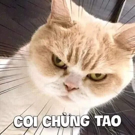 meme tức giận 10