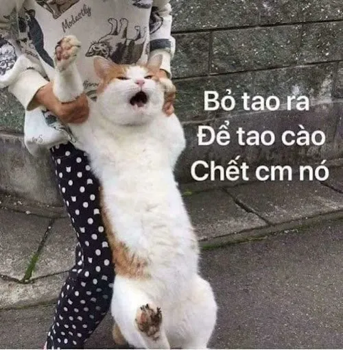 meme tức giận 13