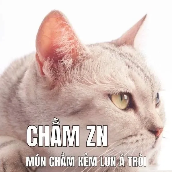 meme tủi thân 33