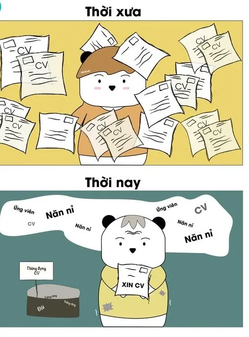 meme tuyển dụng 43