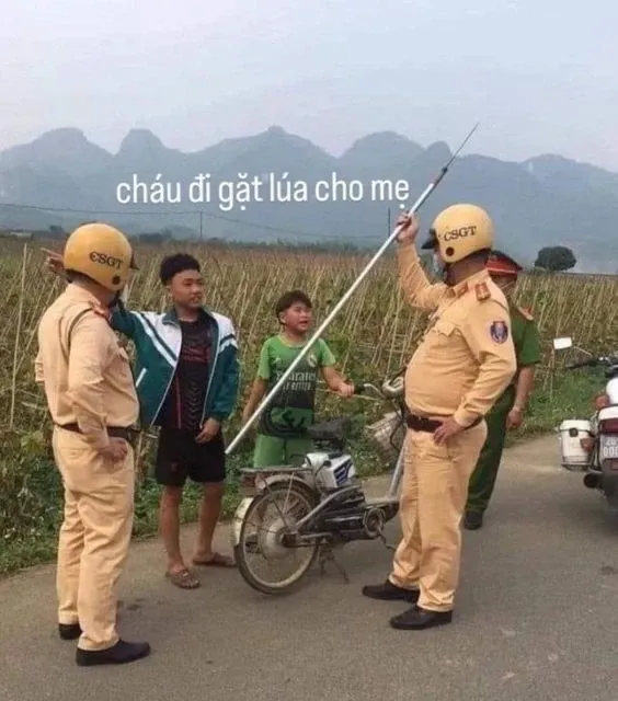 meme việt 5