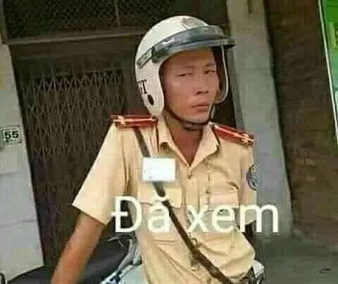 meme việt 10