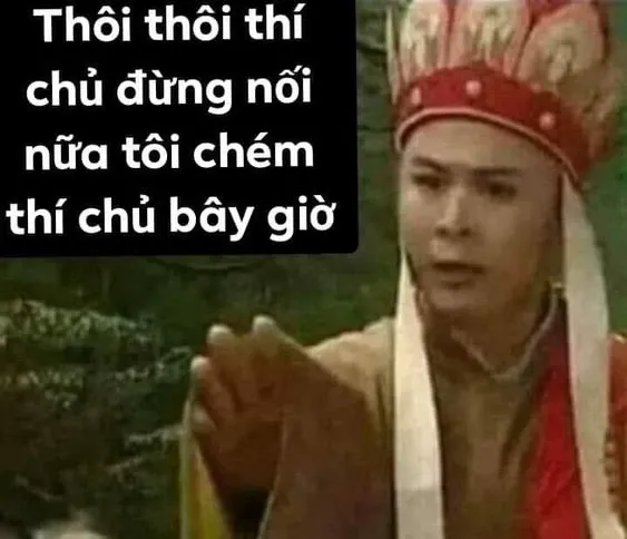 meme việt 11