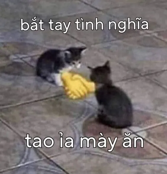 meme việt 20