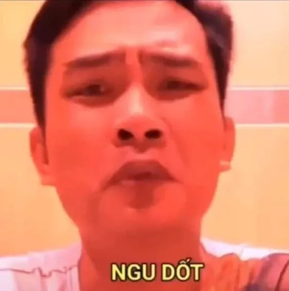 meme việt 21