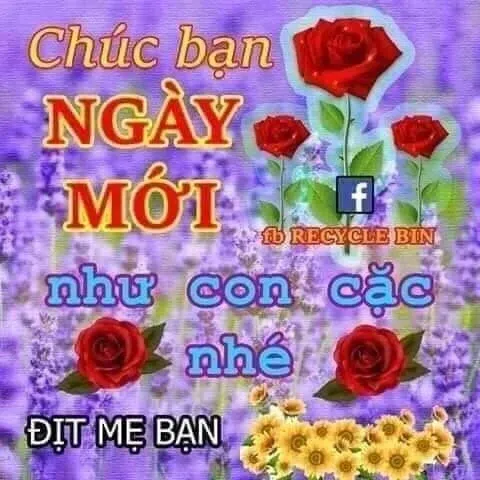 meme việt 36