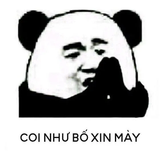 meme xin lỗi 5