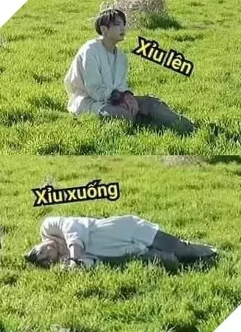 meme xỉu 4