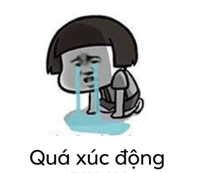 meme xúc động 26