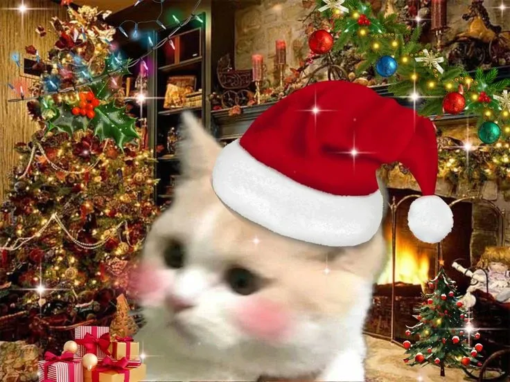 mèo noel meme 6