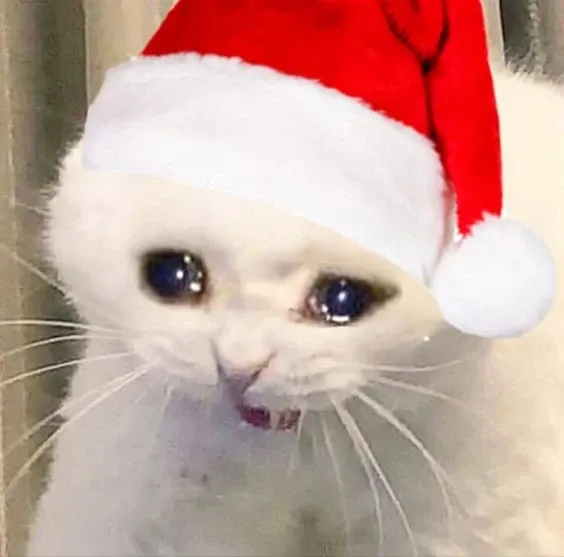 mèo noel meme 7