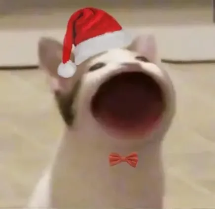 mèo noel meme 9