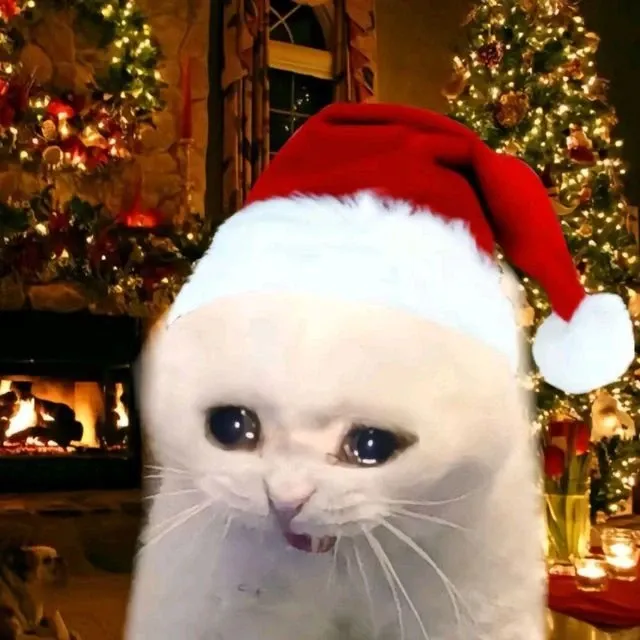 mèo noel meme 13