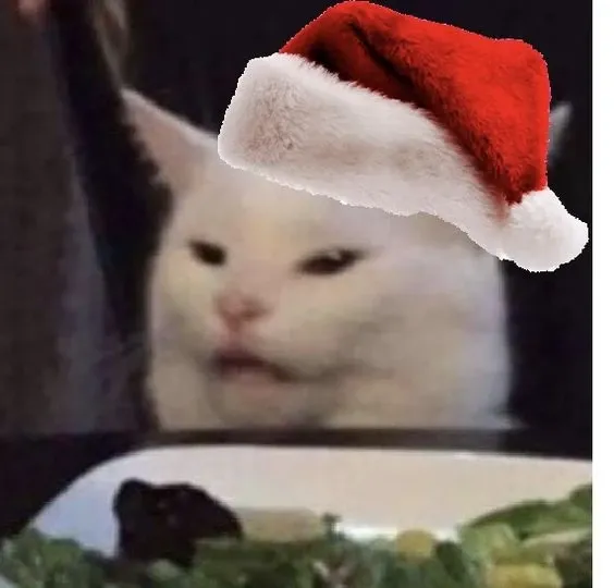 mèo noel meme 14