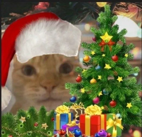 mèo noel meme 16