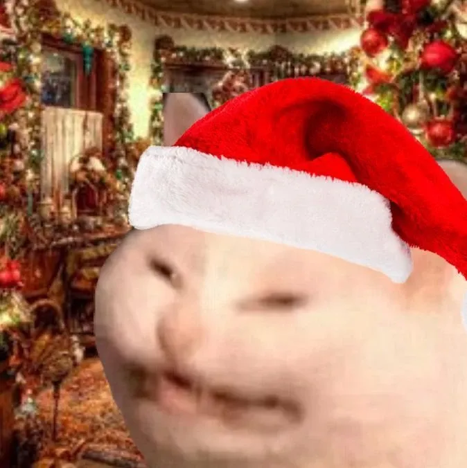 mèo noel meme 23