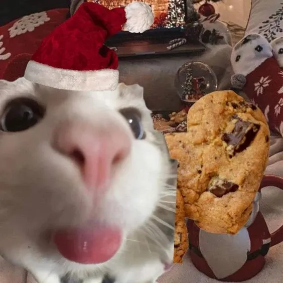 mèo noel meme 27