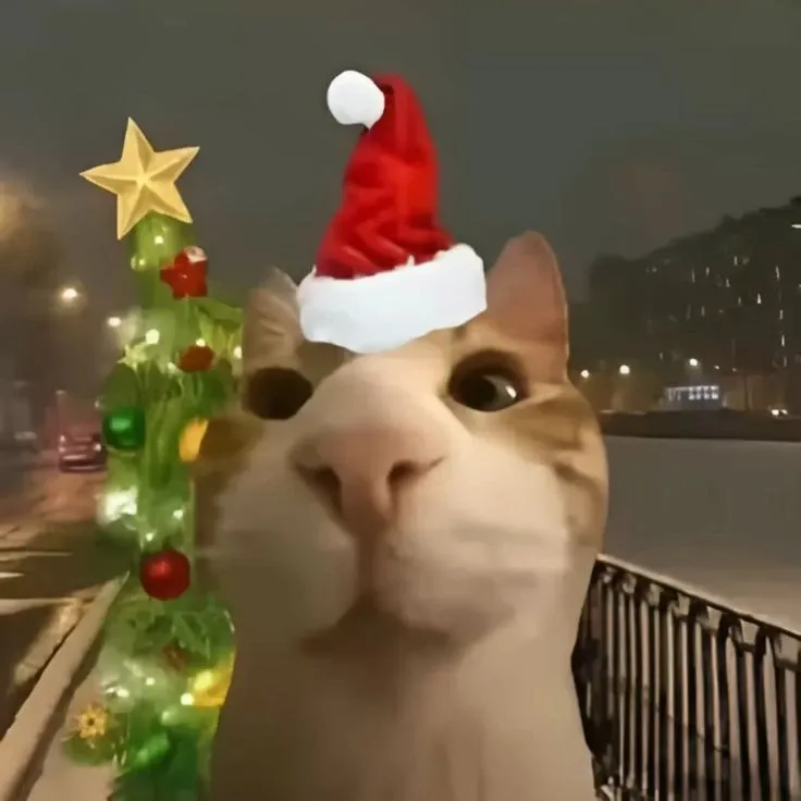 mèo noel meme 35