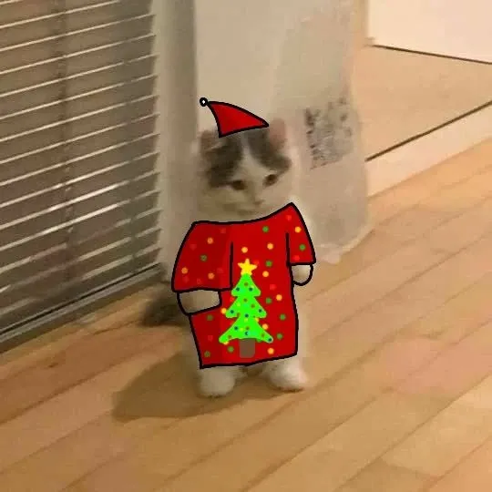 mèo noel meme 37