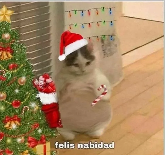 mèo noel meme 40