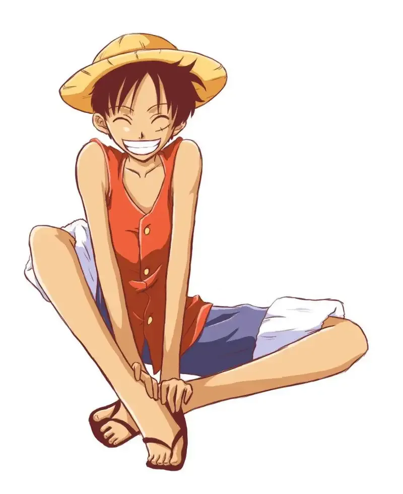 ảnh Monkey D. Luffy  24