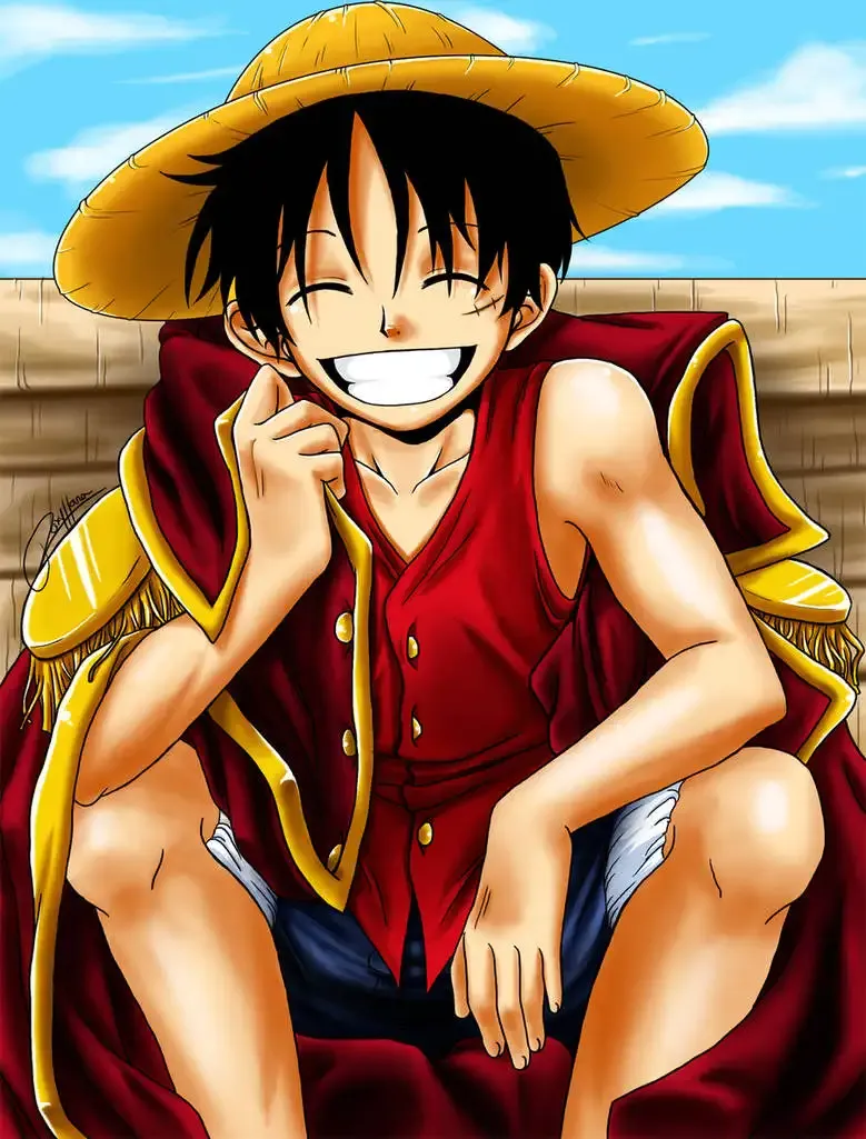 ảnh Monkey D. Luffy  12