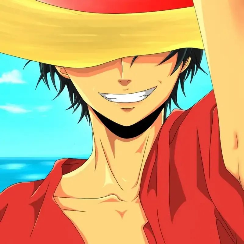 ảnh Monkey D. Luffy  16