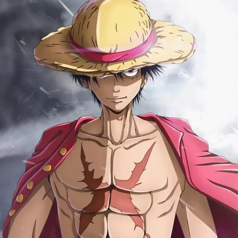 ảnh Monkey D. Luffy  22