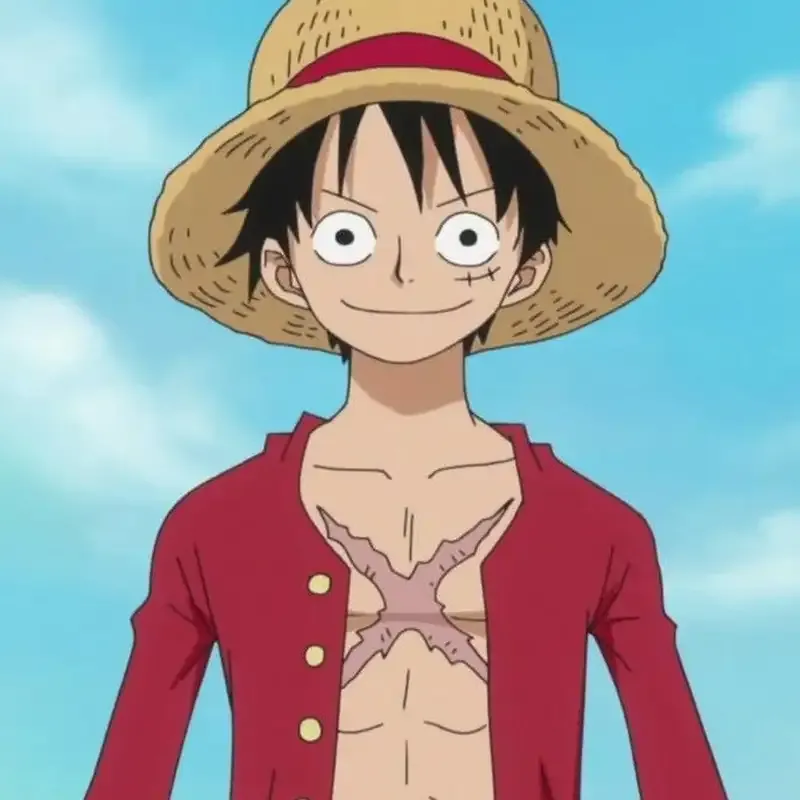 ảnh Monkey D. Luffy  56