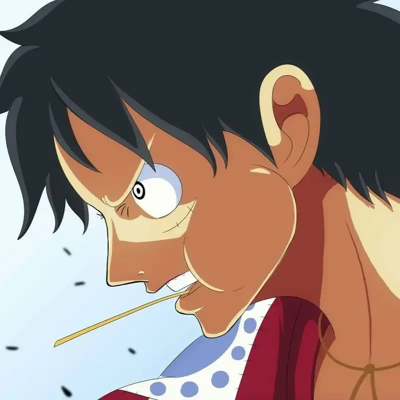 ảnh Monkey D. Luffy  58