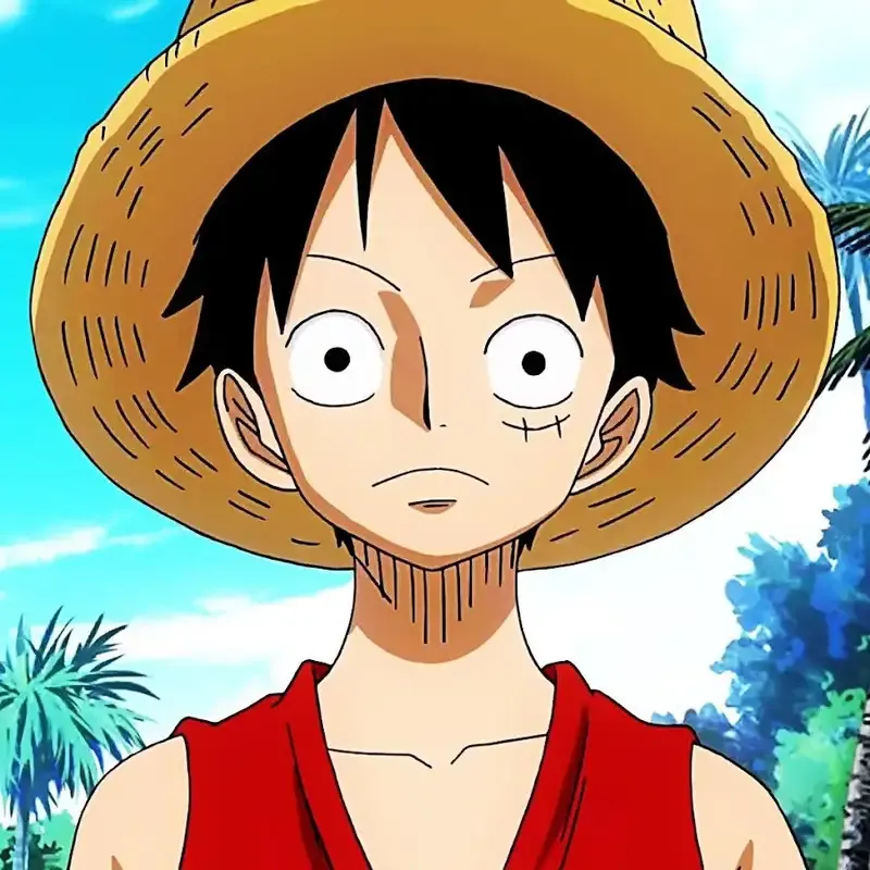 ảnh Monkey D. Luffy  23