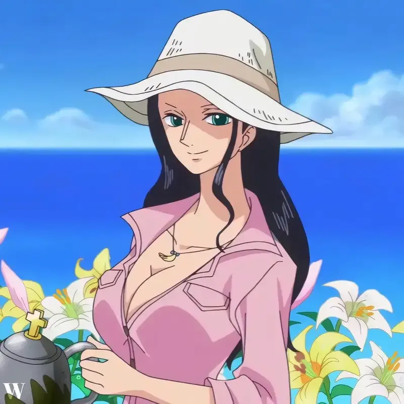  ảnh Nico Robin  18