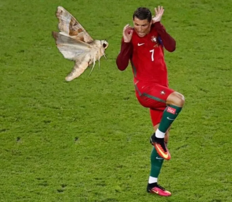 ronaldo meme 19