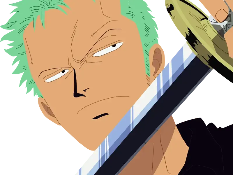  ảnh Roronoa Zoro 11