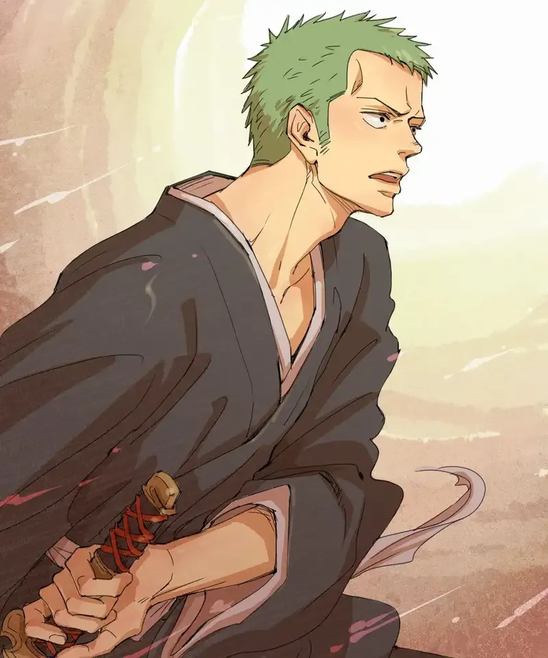  ảnh Roronoa Zoro 13