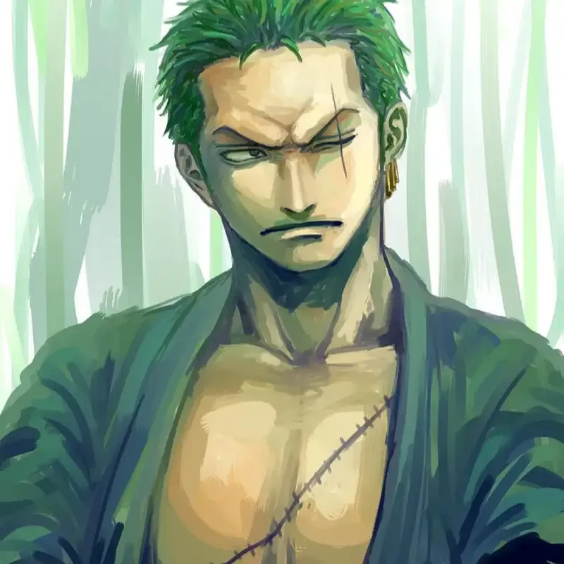  ảnh Roronoa Zoro 14