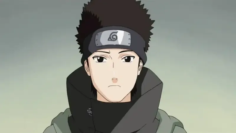  ảnh Shino Aburame  14