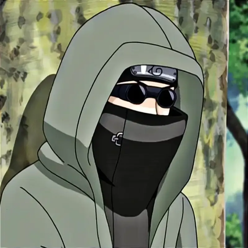  ảnh Shino Aburame  27