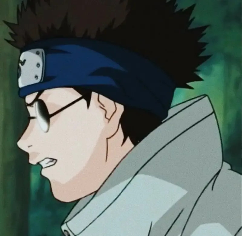  ảnh Shino Aburame  49